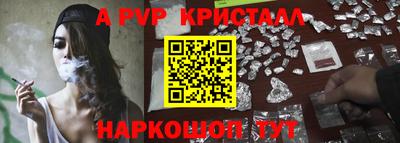 молекула духа Камышлов