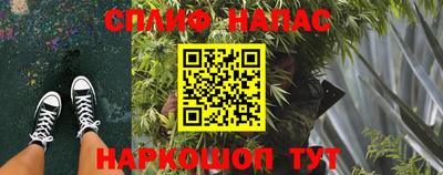 молекула духа Камышлов