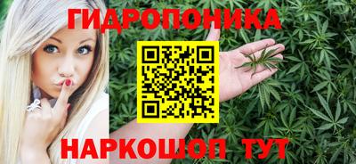 молекула духа Камышлов