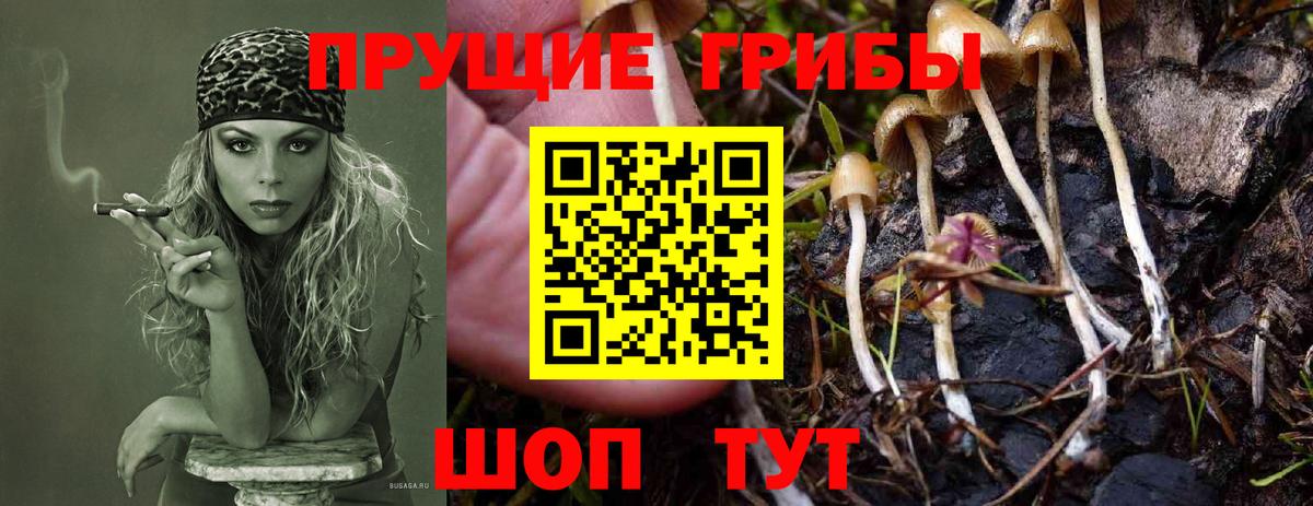 Галлюциногенные грибы мицелий  Псилоцибиновые грибы мухоморы  Глазов  Вход с VPN 